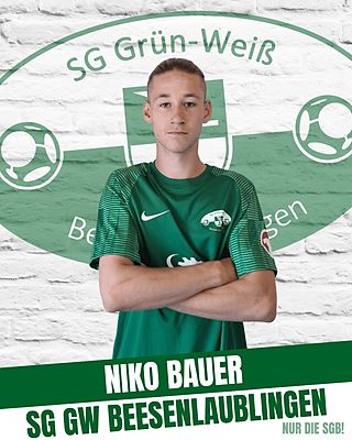 Niko Bauer