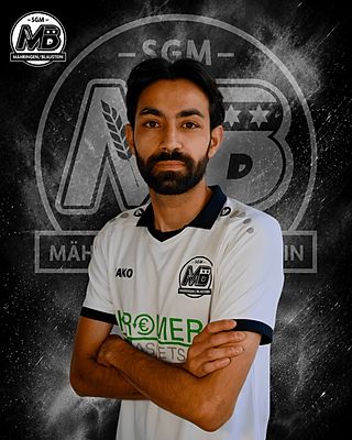 Metin Sahin