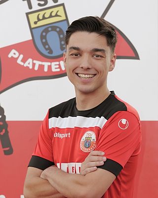 Fabijan Krpan
