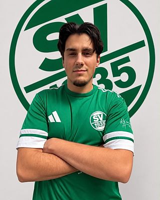 Fabio Vicenzo Lunetto