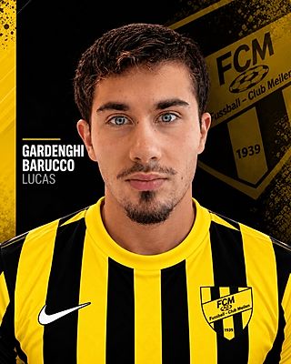 Lucas Gardenghi Barucco