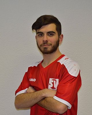 Miguel Angelo Ferreira Fontes