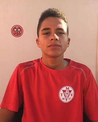 da Matos Silva Otto Luis Fernando