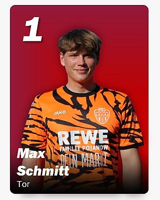 Max Schmitt