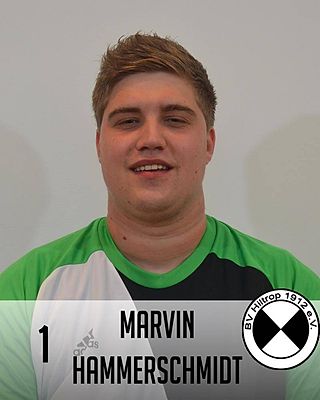Marvin Hammerschmidt