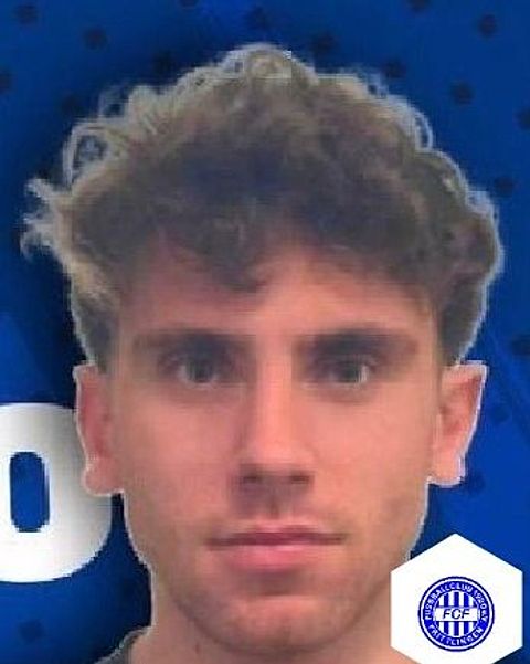 Flavio Ippolito