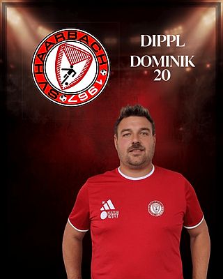 Dominik Dippl