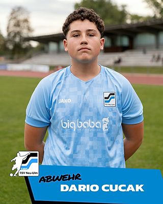 Dario Cucak