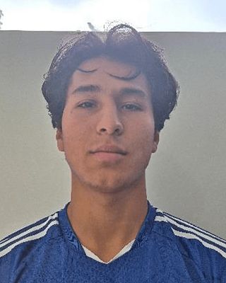 Vitali Alejandro Martinez Hernandez