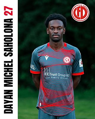 Dayan Michel Saholona