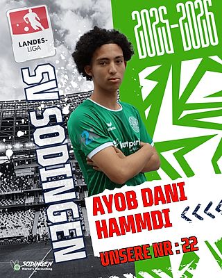 Ayob Dani Hammdi