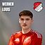 Louis Werner