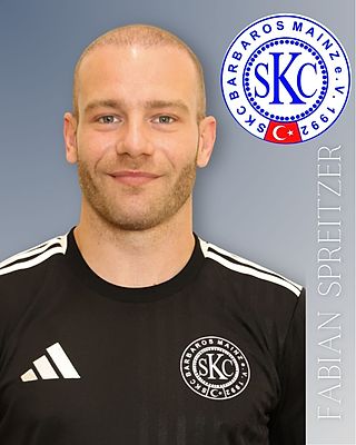 Fabien Spreitzer