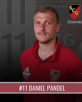 Daniel Pandel