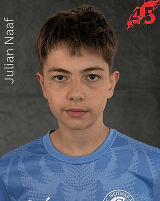 Paul Julian Naaf