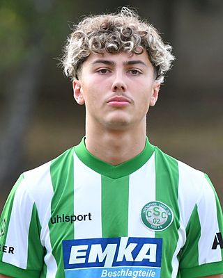 Aldin Hamidovic