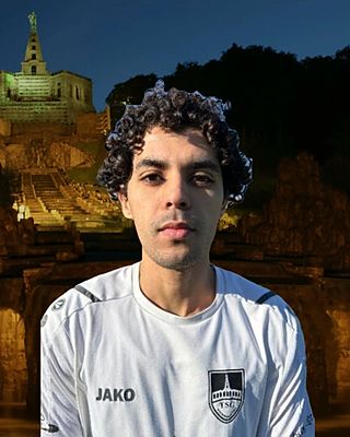 Ayman Qasimi