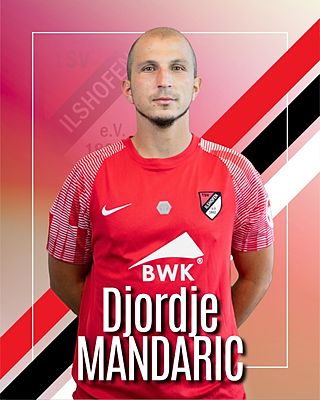 Djordje Mandaric