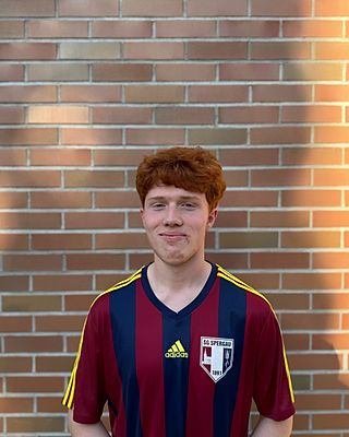 Gabriel Raul Wiedemann