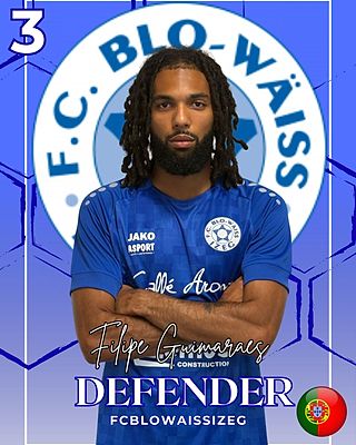 Filipe Guimaraes Almeida