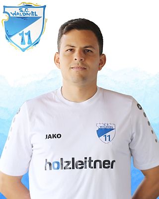 Raúl Andres Lugo Rodríguez