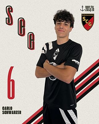 Carlo Schwarzer