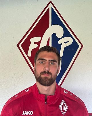 Theo Hendrischke