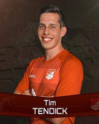 Tim Tendick