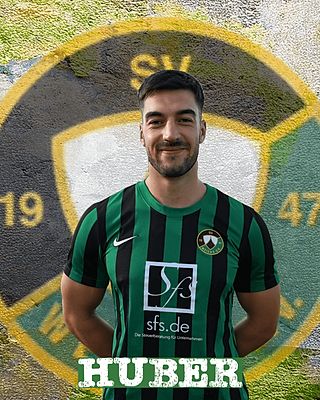 Nico Huber