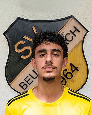 Ali Al-Dashtaki