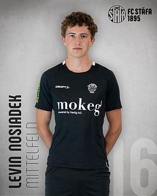Levin Nosiadek