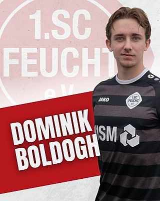 Dominik Boldogh