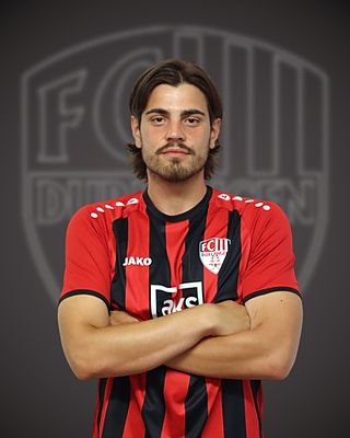 Dan-Mircea Dumitrica