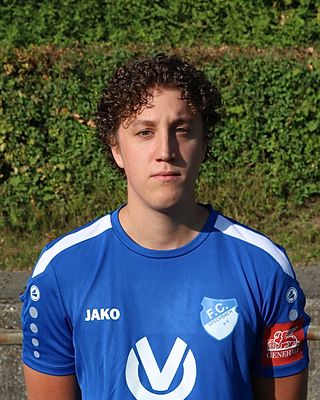 Dominik Wermke
