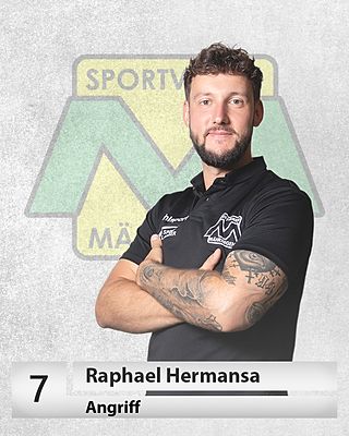 Raphael Hermansa