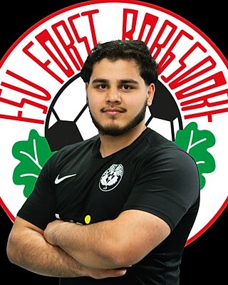 Navid Bahremand