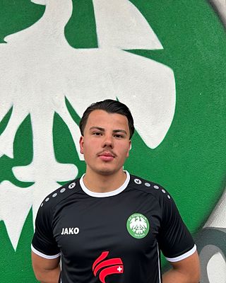 Aleksandr Rybakov