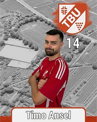 Timo Ansel