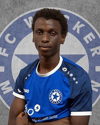Collins Mulei