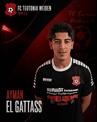 Ayman El Gattass