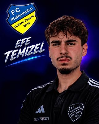 Efe Temizel