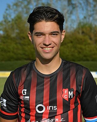 Rui Pedro HENRIQUES GOMES