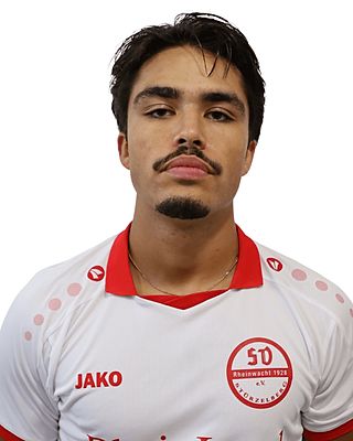 Anas Abdel-Jalil