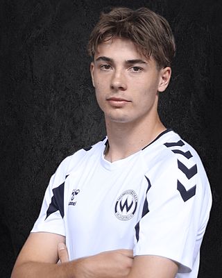 Moritz Leitner