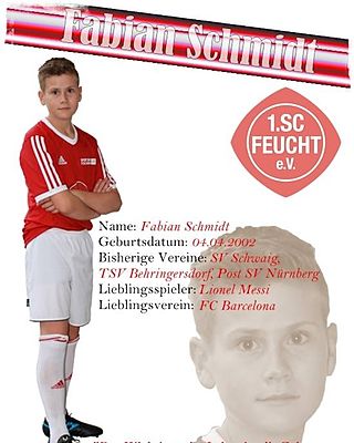 Fabian Schmidt