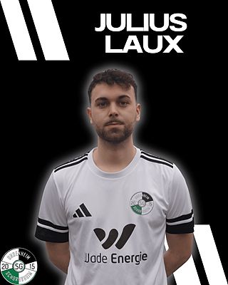 Julius Laux