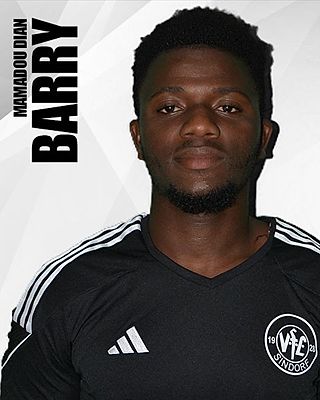 Mamadou Dian Barry