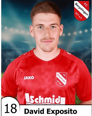 David Exposito Gallardo