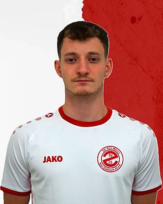 Joris Curd Aulenberg