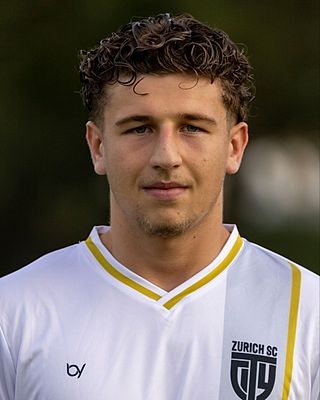 Imran Hamzic